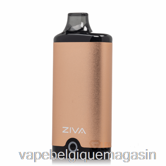 Vape Shop Bruxelles Yocan Ziva 510 Batterie Or